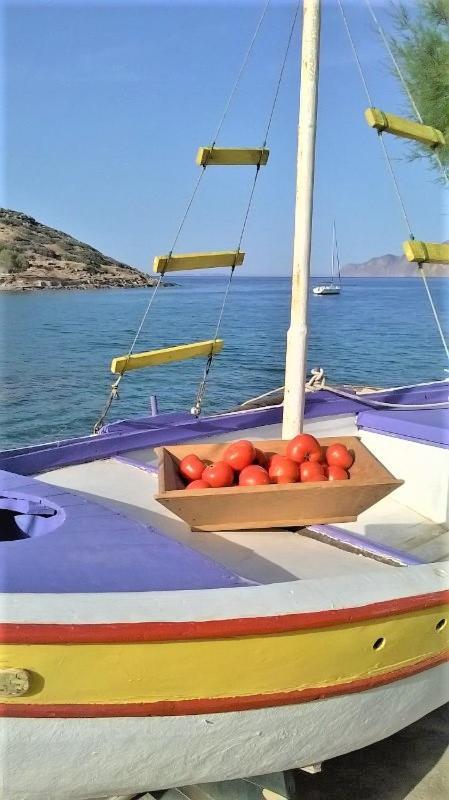 Holiday home ~~ Sea Breeze Covered House ~~ Mochlos